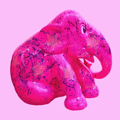 Pink Elephant